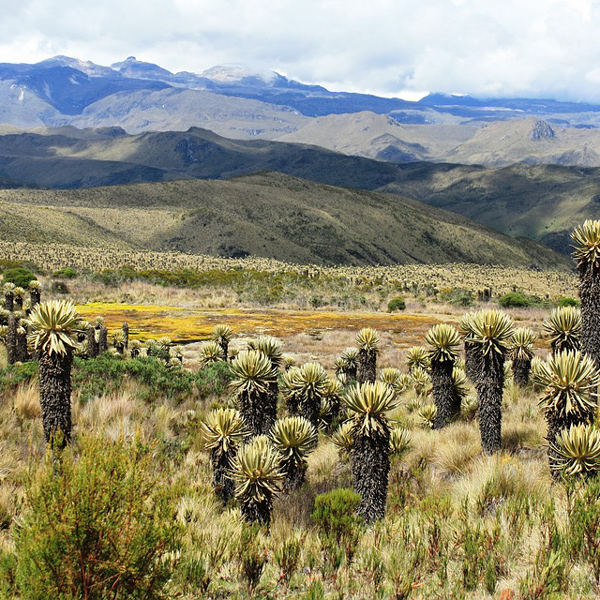 Tolima, Huila y Caquetá